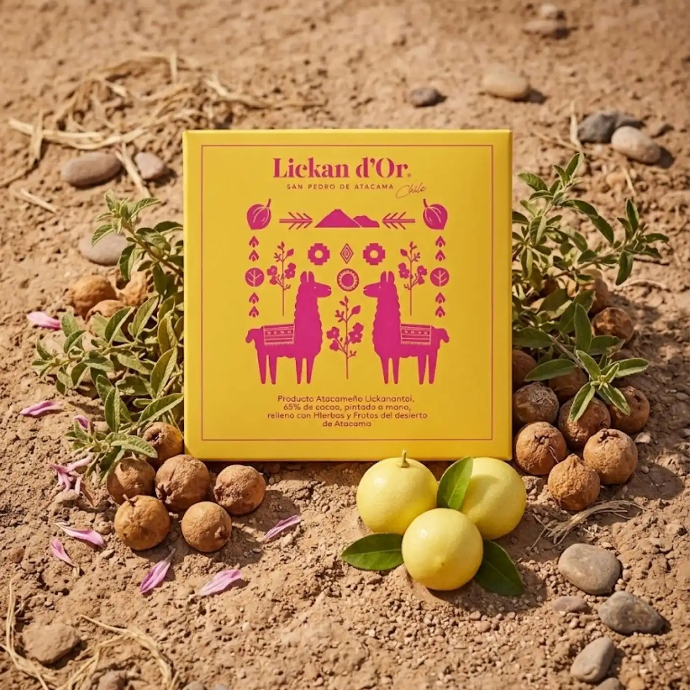 Handcrafted Atacama Desert Bonbons - Artisanal 9-Piece Collection