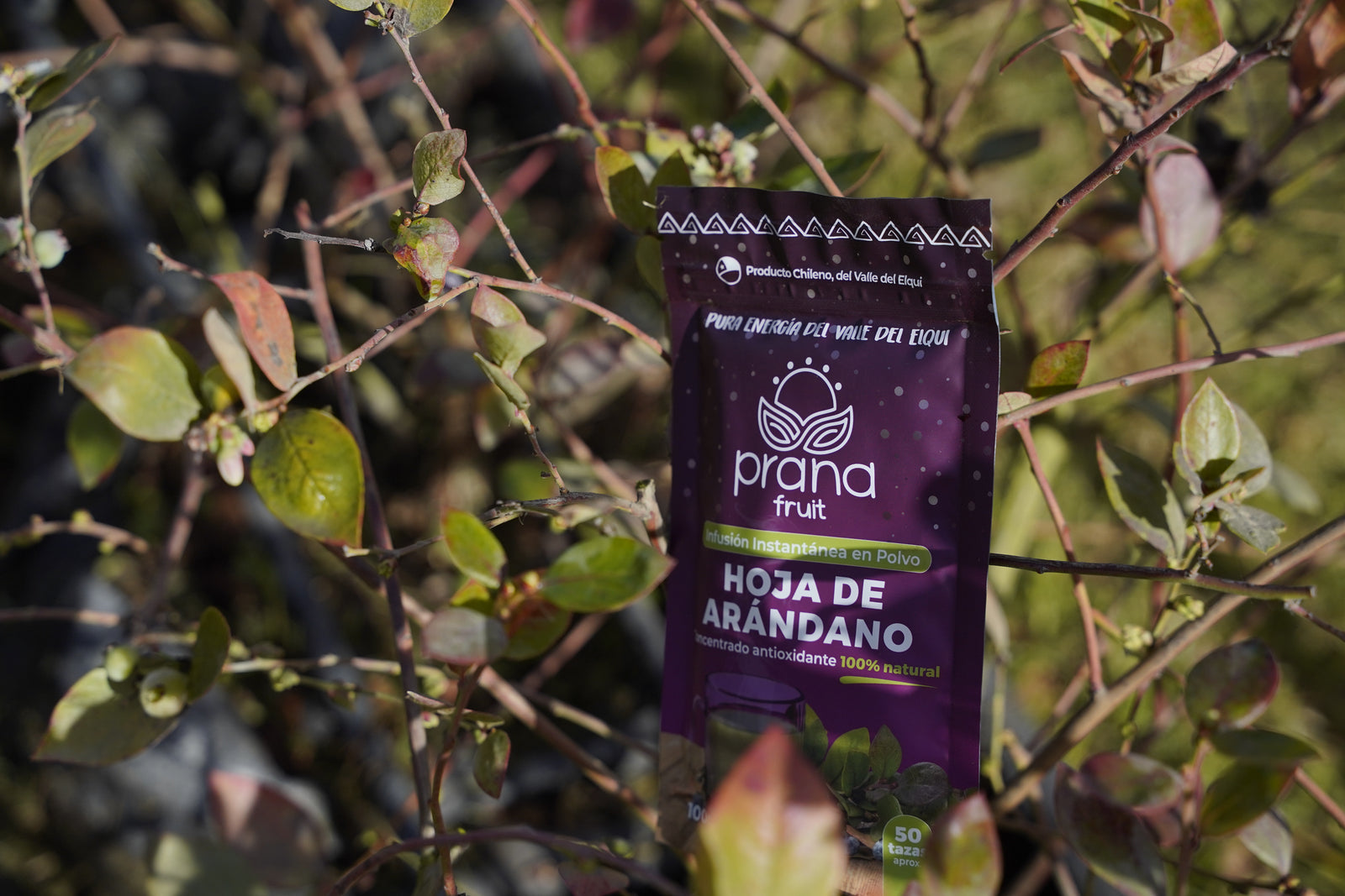 Prana Fruit Blueberry Leaf Powder 50g – front view of eco-friendly packaging.
