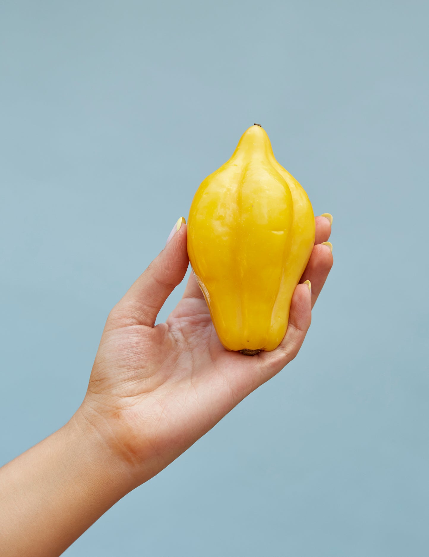 Close-up of Chilean papaya – key ingredient in Elquimia’s antioxidant-rich facial oil.