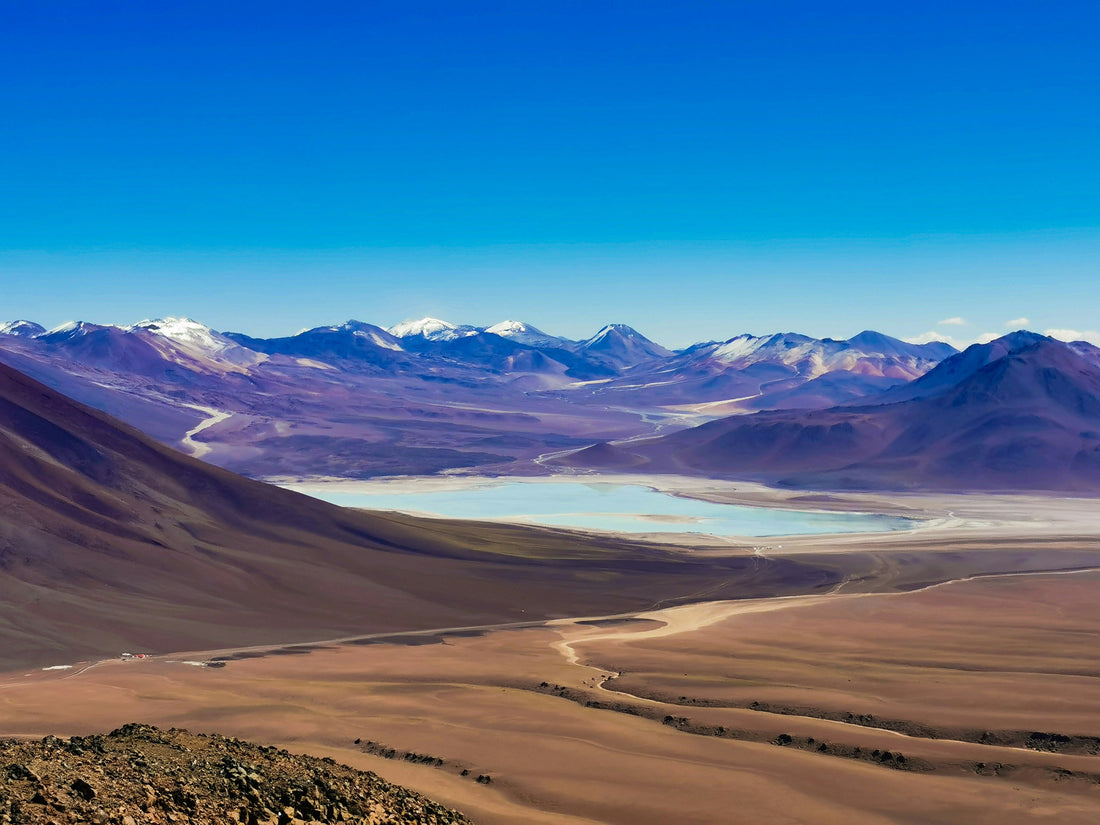 From the World’s Driest Desert to Your Palate: The Story Behind Lickan D’Or’s Atacama Bonbons