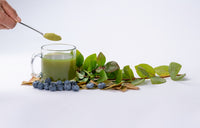 Spoonful of Prana Fruit Blueberry Leaf Powder showcasing its fine texture.