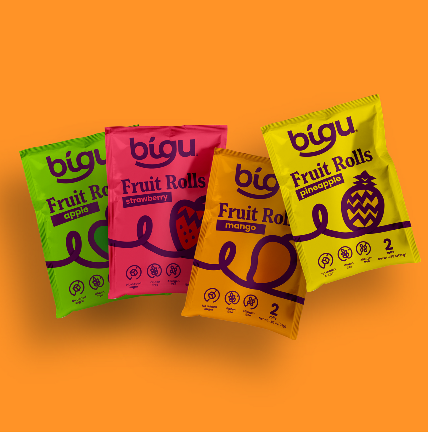 Bigu Fruit Rolls 4-Pack – Natural Vegan Snack Variety for Kids & Adults