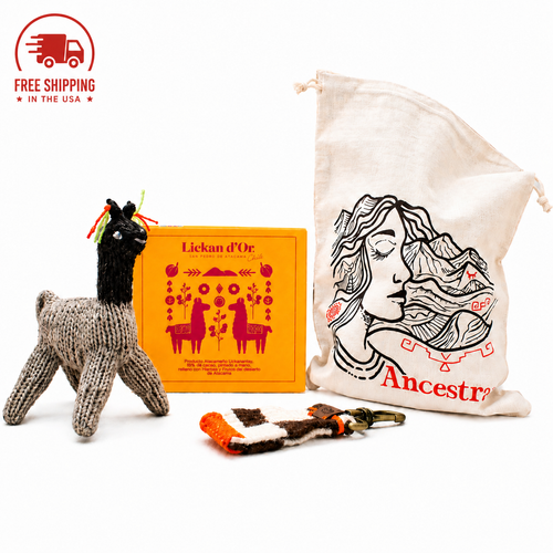 Ancestra Collection: Handcrafted Atacama Desert Treasure Bag
