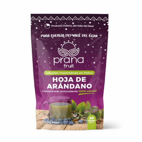 Blueberry Leaf Powder – Natural Antioxidant from Chile